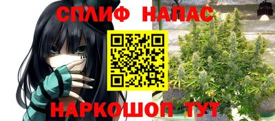 PSILOCYBIN Будённовск