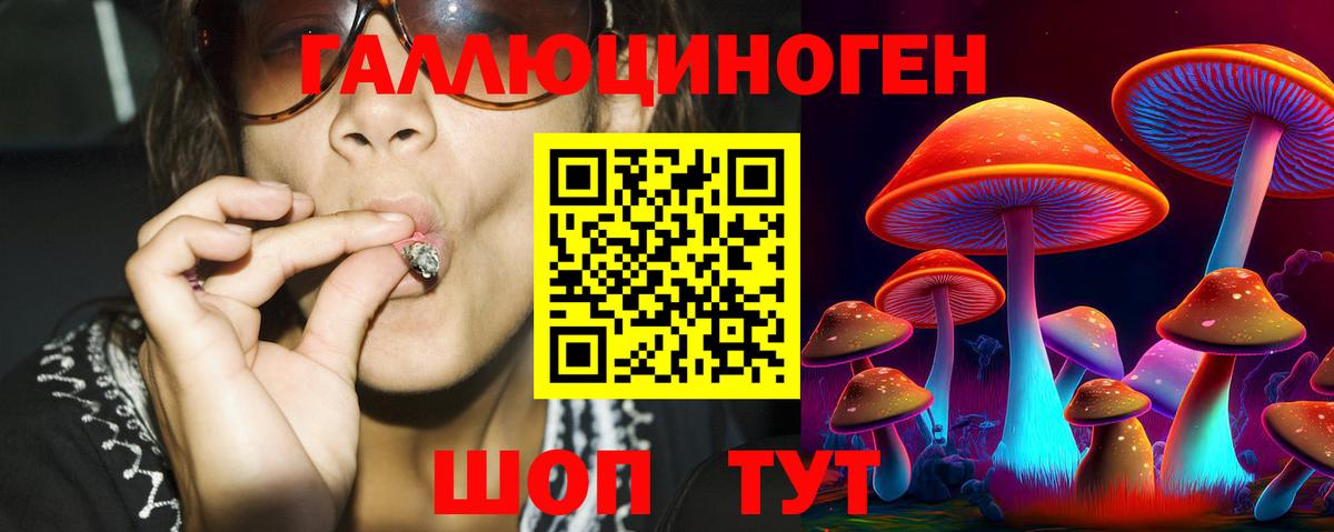 Галлюциногенные грибы GOLDEN TEACHER  Вход с VPN  купить наркоту  Ессентуки  Галлюциногенные грибы ЛСД 